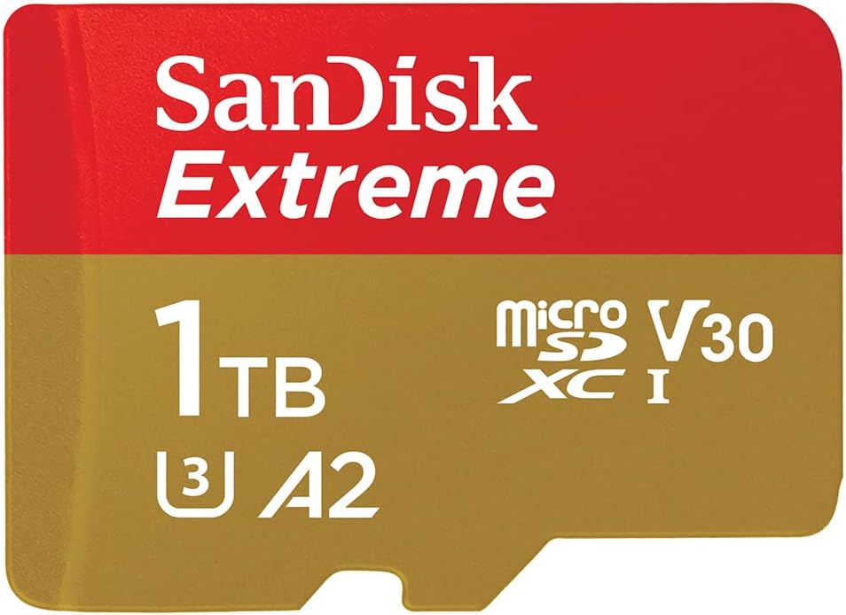 carte mémoire sandisk extreme legion-go